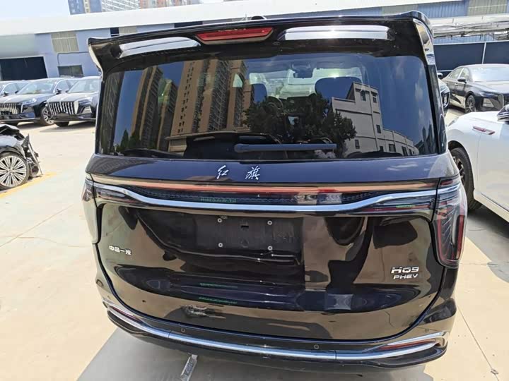 Hongqi HQ9 Hybrid, 2024 — фото 6 из 9