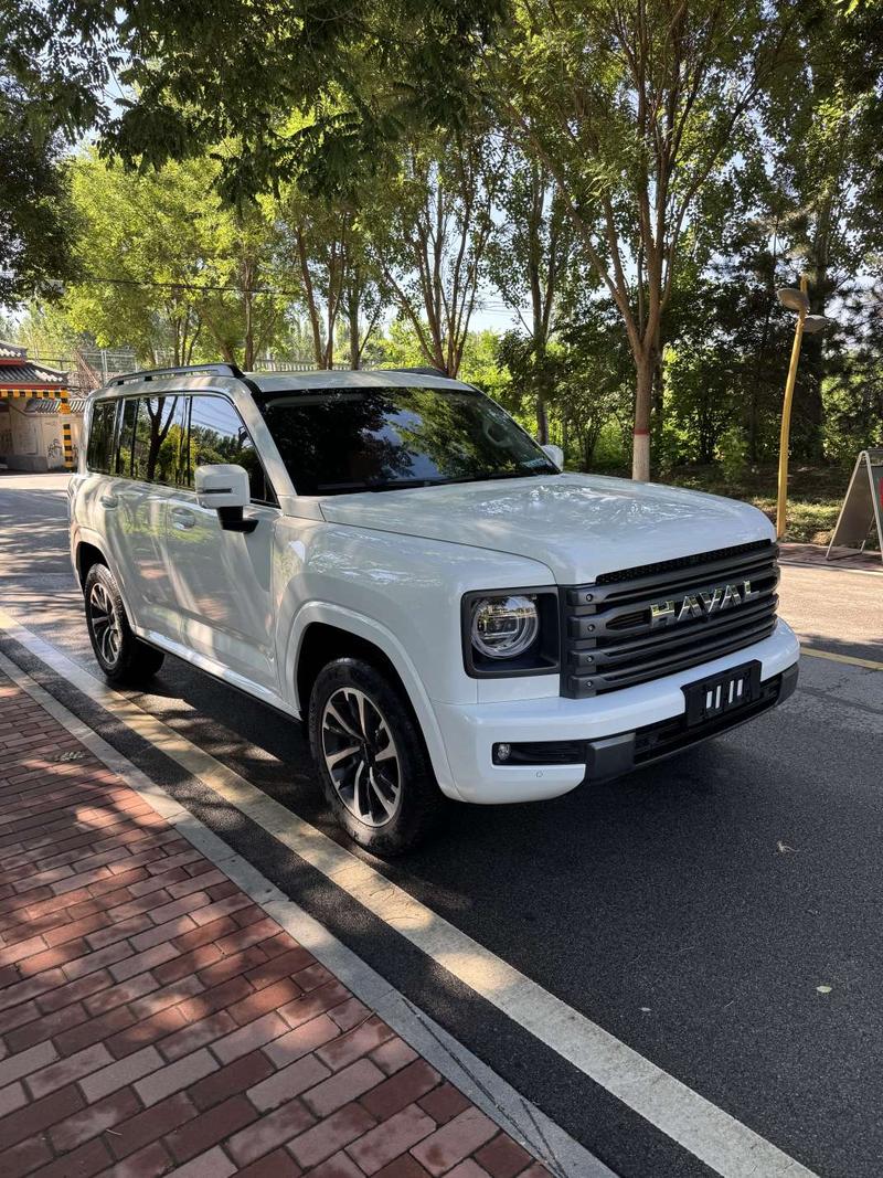 Haval H9, 2024 — фото 3 из 10
