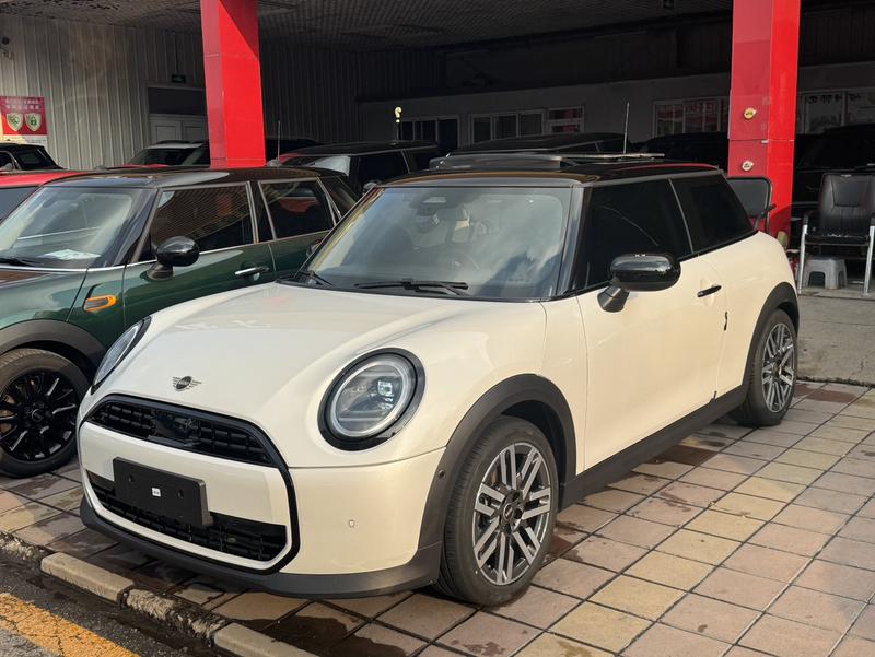 Mini Mini, 2025 — купить в Оренбурге под ключ