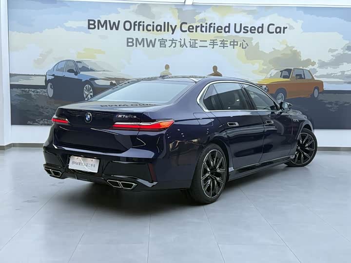 BMW 7 Series Hybrid, 2024 — фото 7 из 9