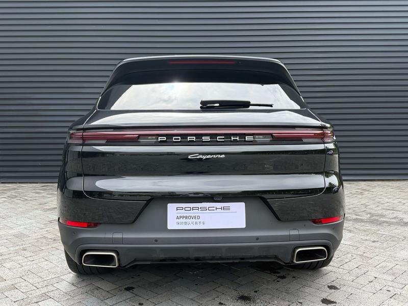 Porsche Cayenne, 2025 — фото 6 из 11