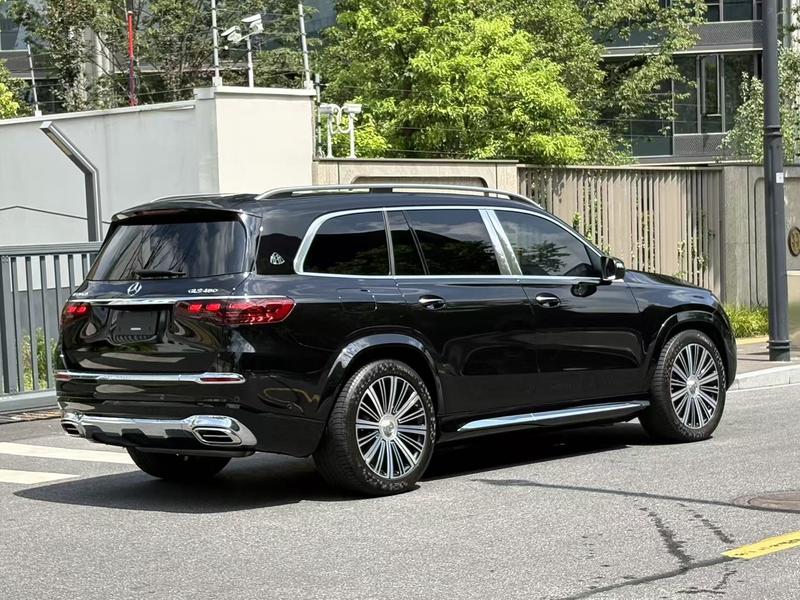 Mercedes-Benz Maybach GLS, 2024 — фото 6 из 12