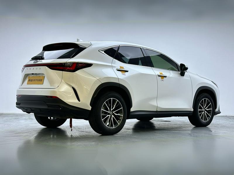 Lexus NX, 2023 — фото 7 из 12