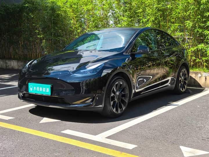 Tesla Model Y, 2022 — купить в Брянске под ключ