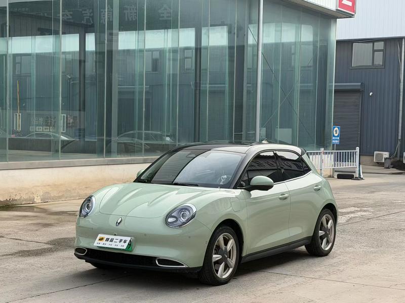 Ora Good Cat (03), 2023 — купить в Кирове под ключ
