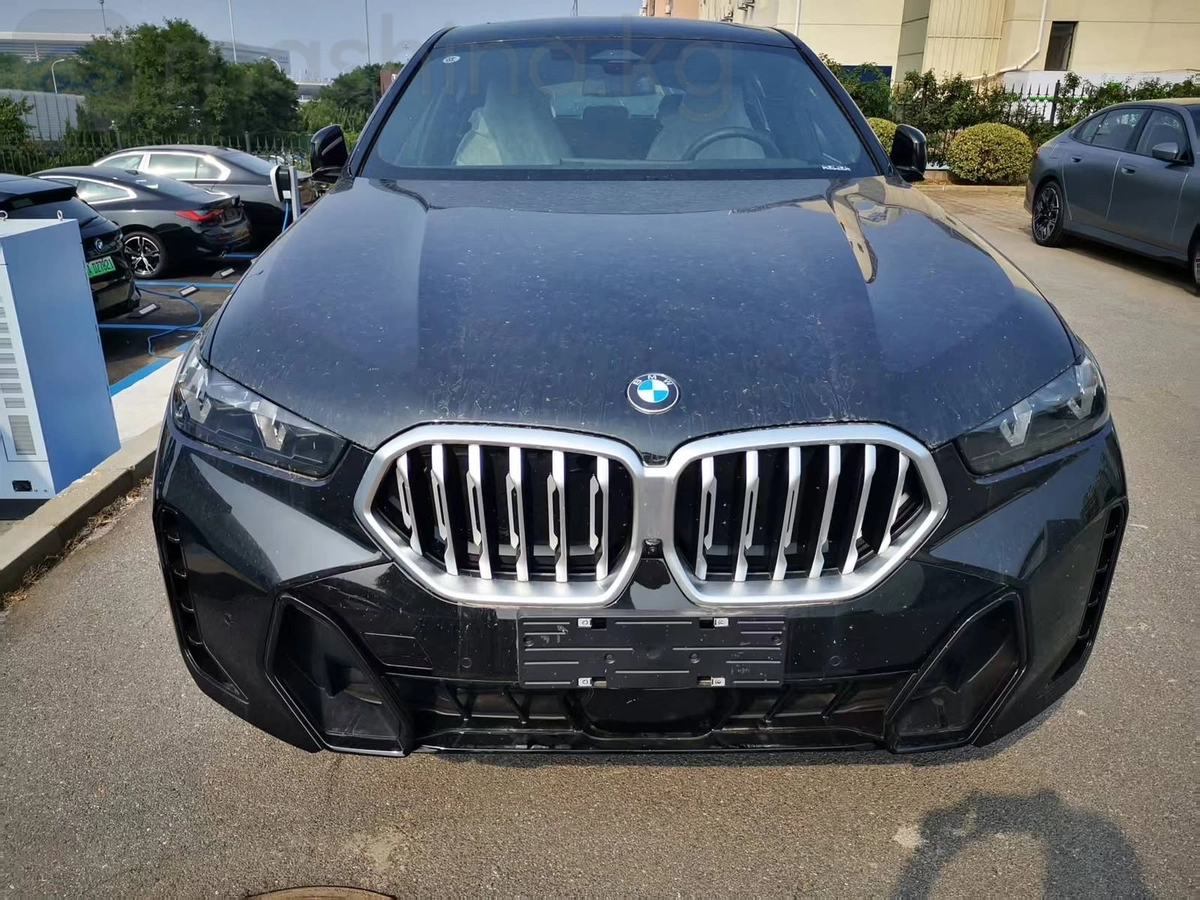 BMW X6, 2024 — фото 5 из 8