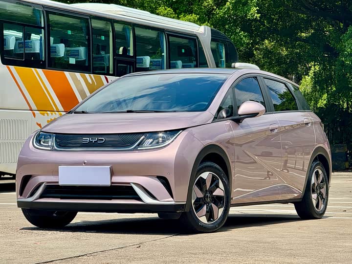 BYD Dolphin, 2024 — купить в Липецке под ключ