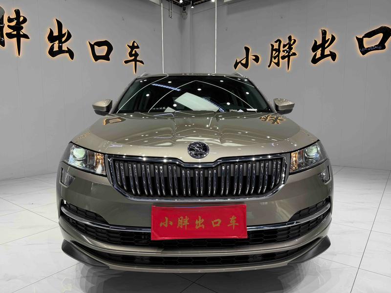 Skoda Karoq, 2023 — фото 2 из 12