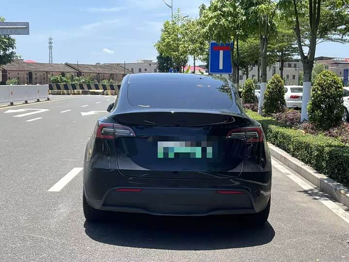 Tesla Model Y, 2021 — фото 8 из 9