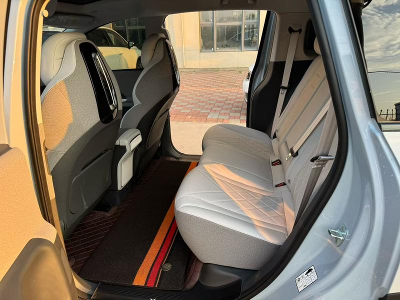 BAIC Arcfox Kaola S, 2024 — фото 9 из 10