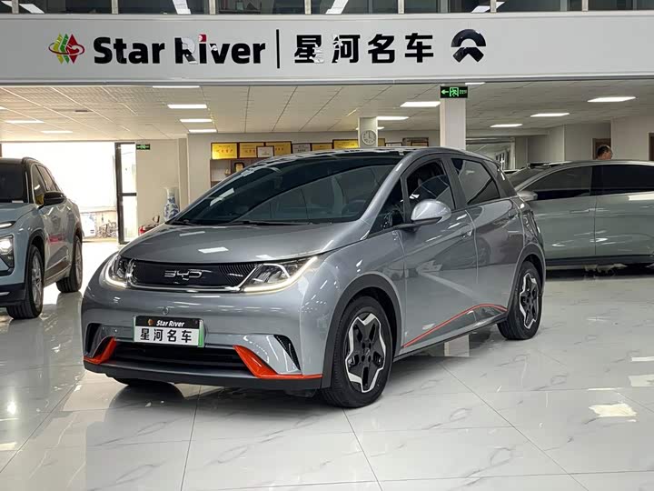 BYD Dolphin, 2022 — купить в Костроме под ключ