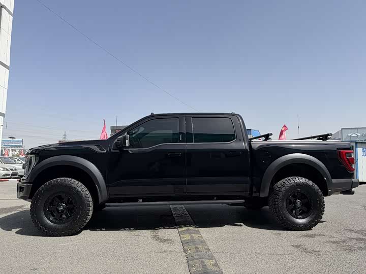 Ford F-150 Raptor, 2022 — фото 4 из 9