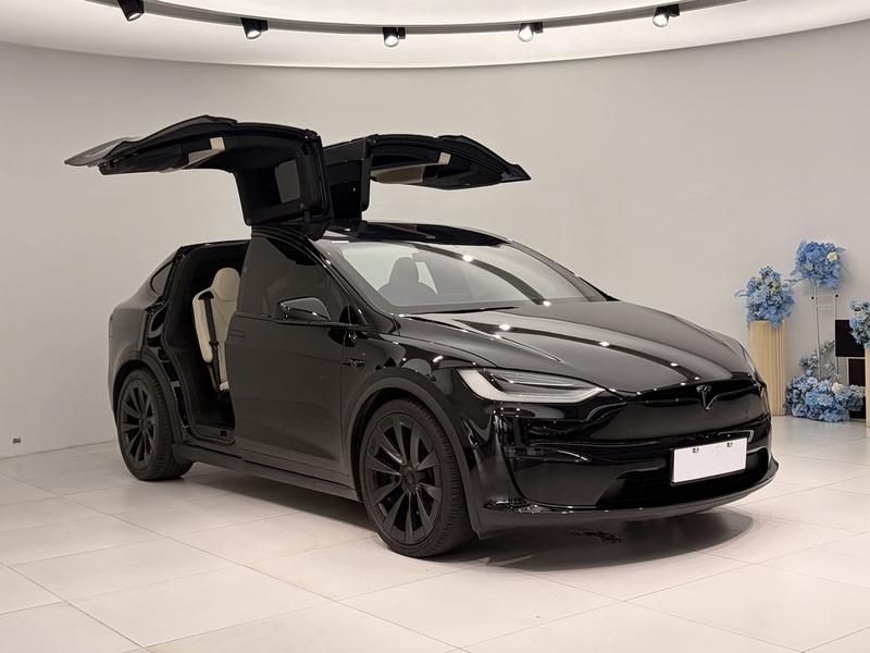 Tesla Model X, 2023 — фото 3 из 11