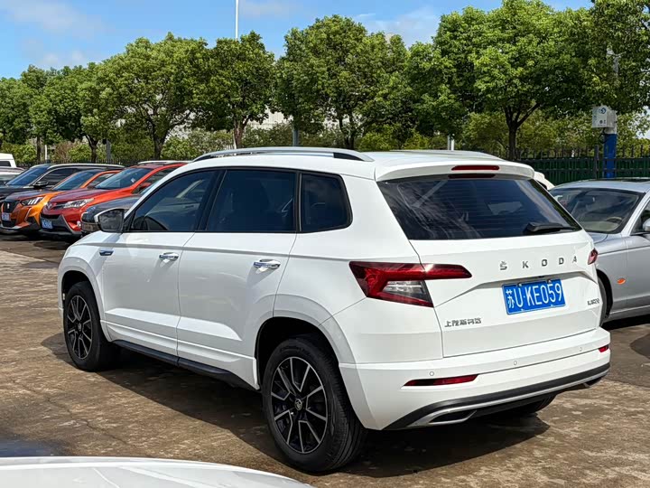 Skoda Karoq, 2024 — фото 5 из 9