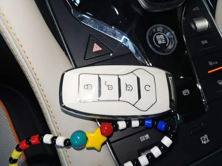BYD Song Plus Hybrid/EV, 2022 — фото 9 из 9