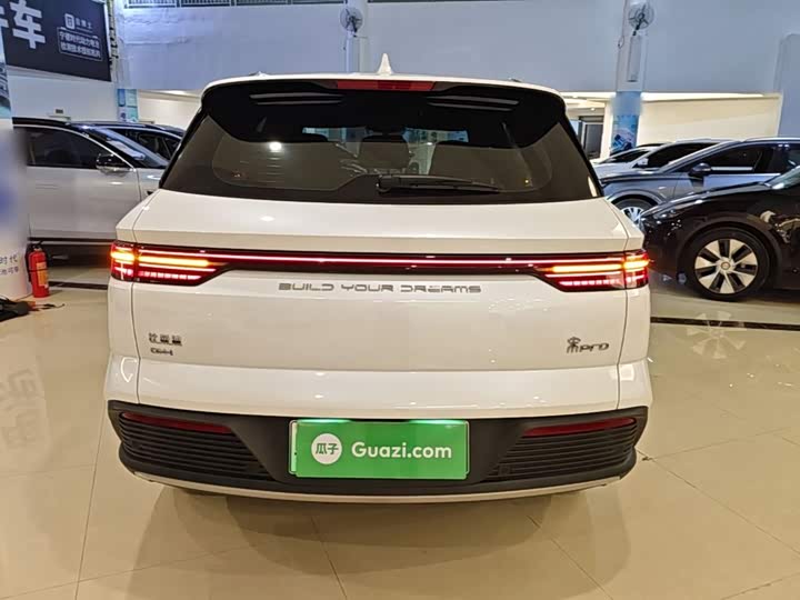 BYD Song Pro Hybrid, 2023 — фото 6 из 9