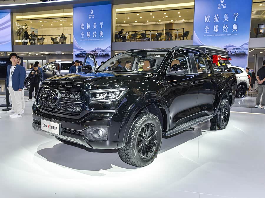 Great Wall Pao, 2026 — купить в Санкт-Петербурге под ключ