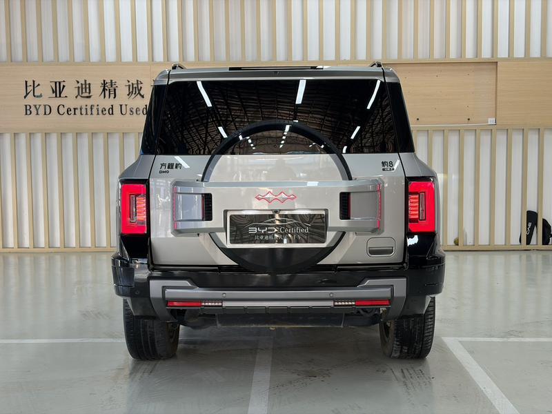 BYD FangChengBao Leopard 8, 2024 — фото 5 из 10