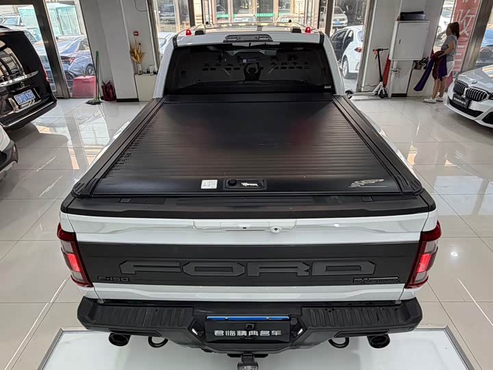 Ford F-150 Raptor, 2024 — фото 8 из 9