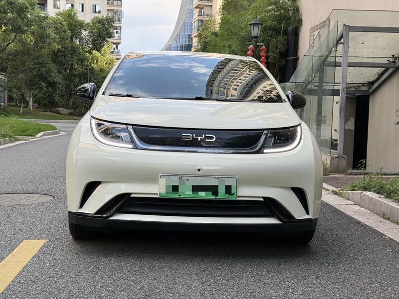 BYD Dolphin, 2025 — фото 2 из 12