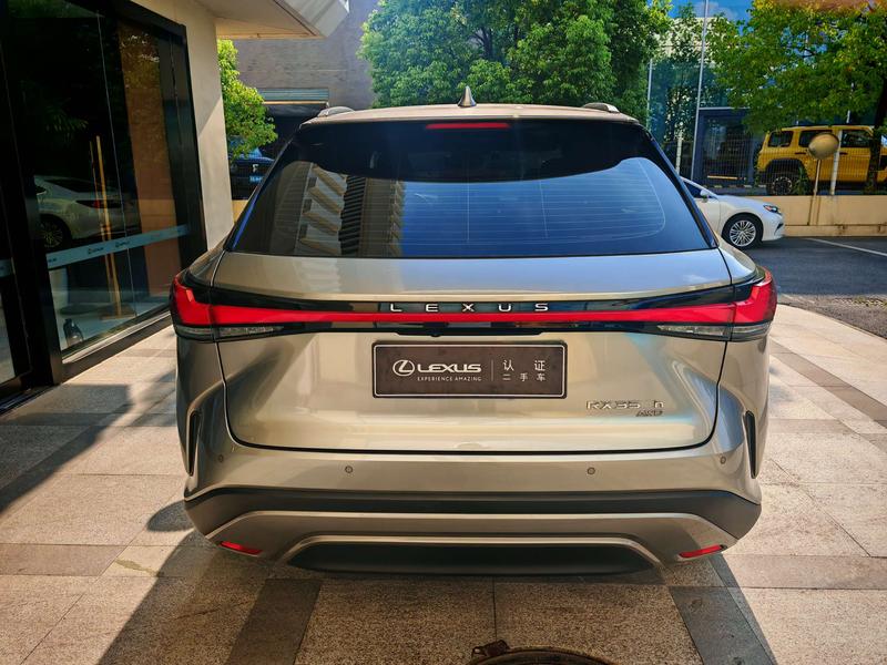 Lexus RX, 2022 — фото 4 из 10