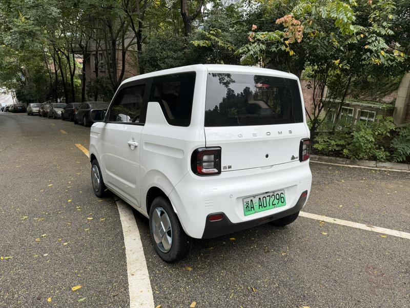 Geely Galaxy Panda Mini, 2024 — фото 4 из 11