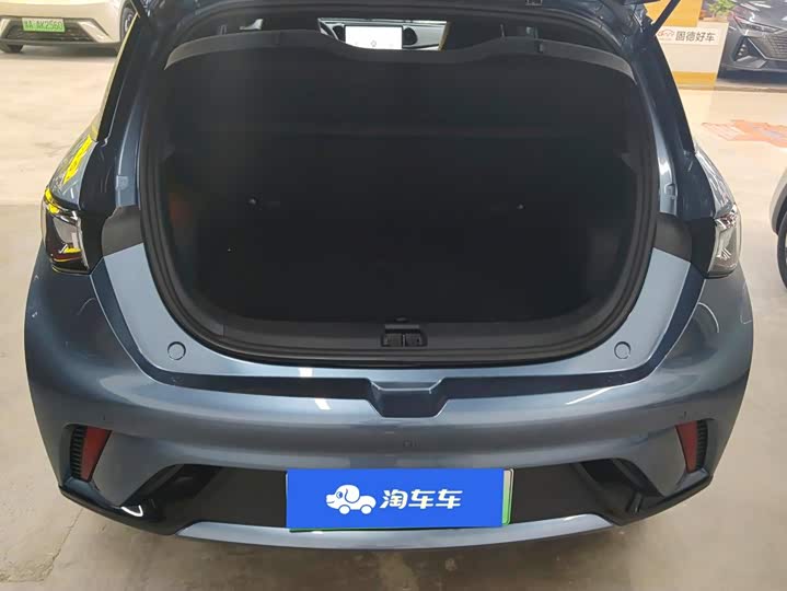 BYD Dolphin, 2025 — фото 4 из 9