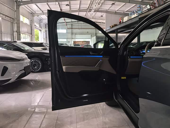 BYD Tang Hybrid/EV, 2024 — фото 7 из 9