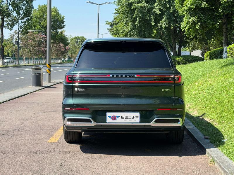 Geely Galaxy M9, 2025 — фото 5 из 12