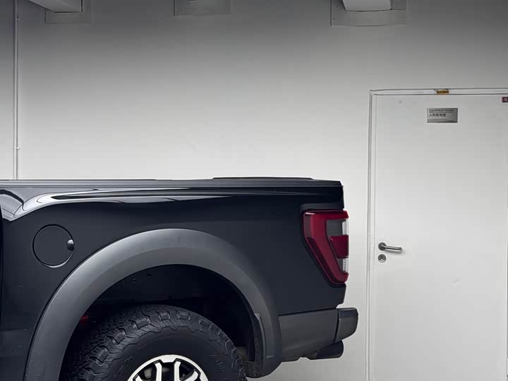 Ford F-150 Raptor, 2023 — фото 4 из 9
