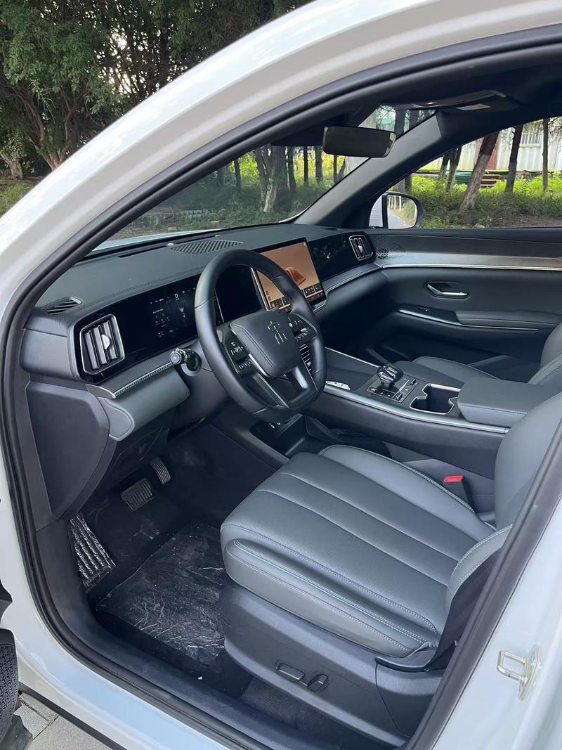 BYD Song Pro Hybrid, 2024 — фото 8 из 10