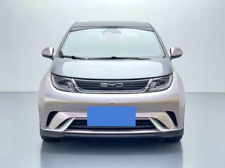 BYD Dolphin, 2021 — фото 2 из 9