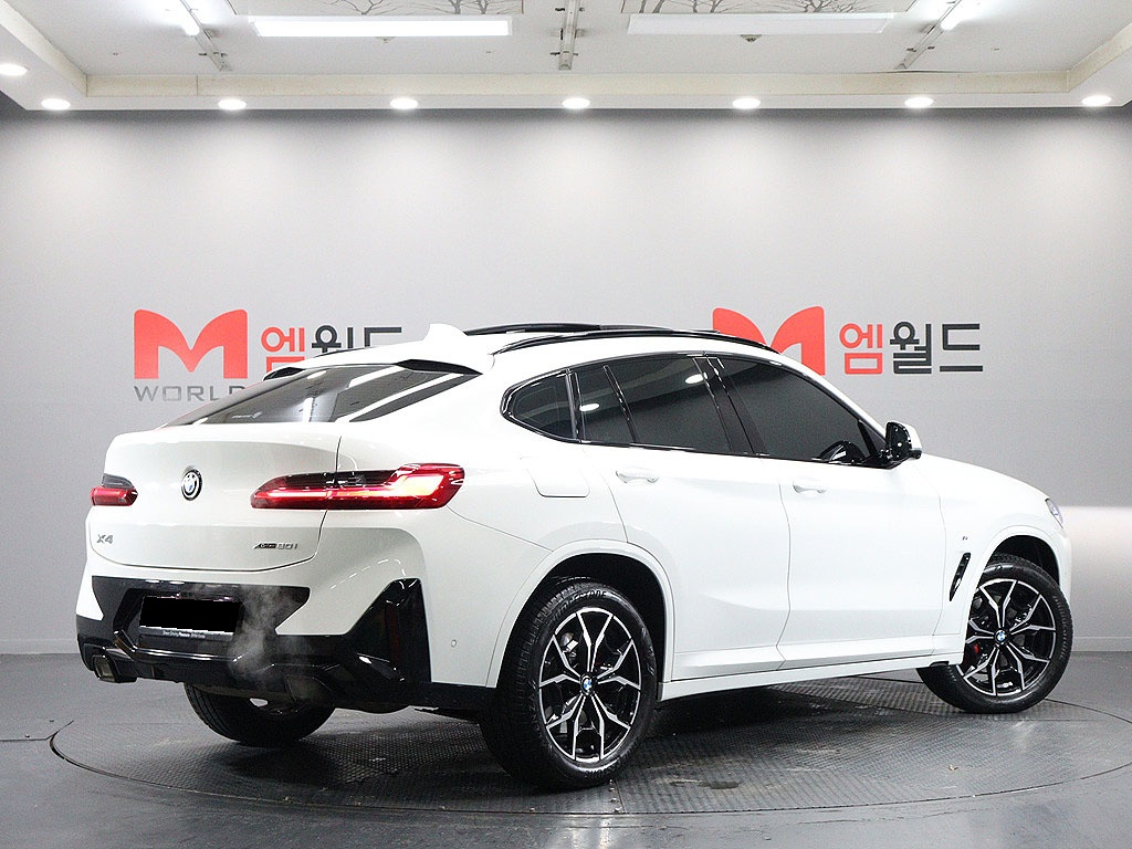 BMW X4, 2023 — фото 4 из 12