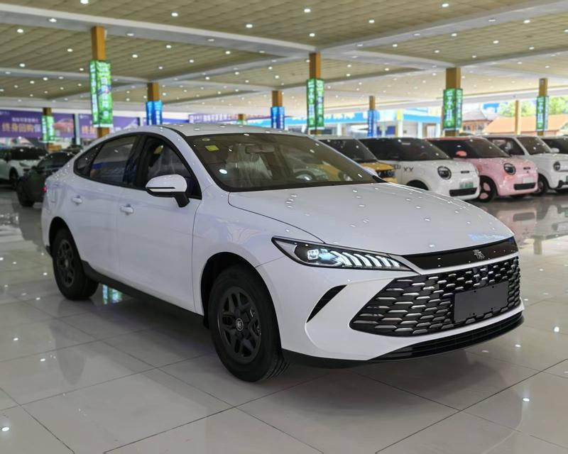 BYD Qin Plus, 2025 — фото 3 из 12