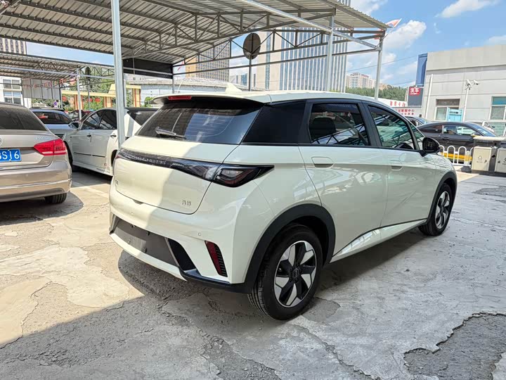 BYD Dolphin, 2025 — фото 3 из 7