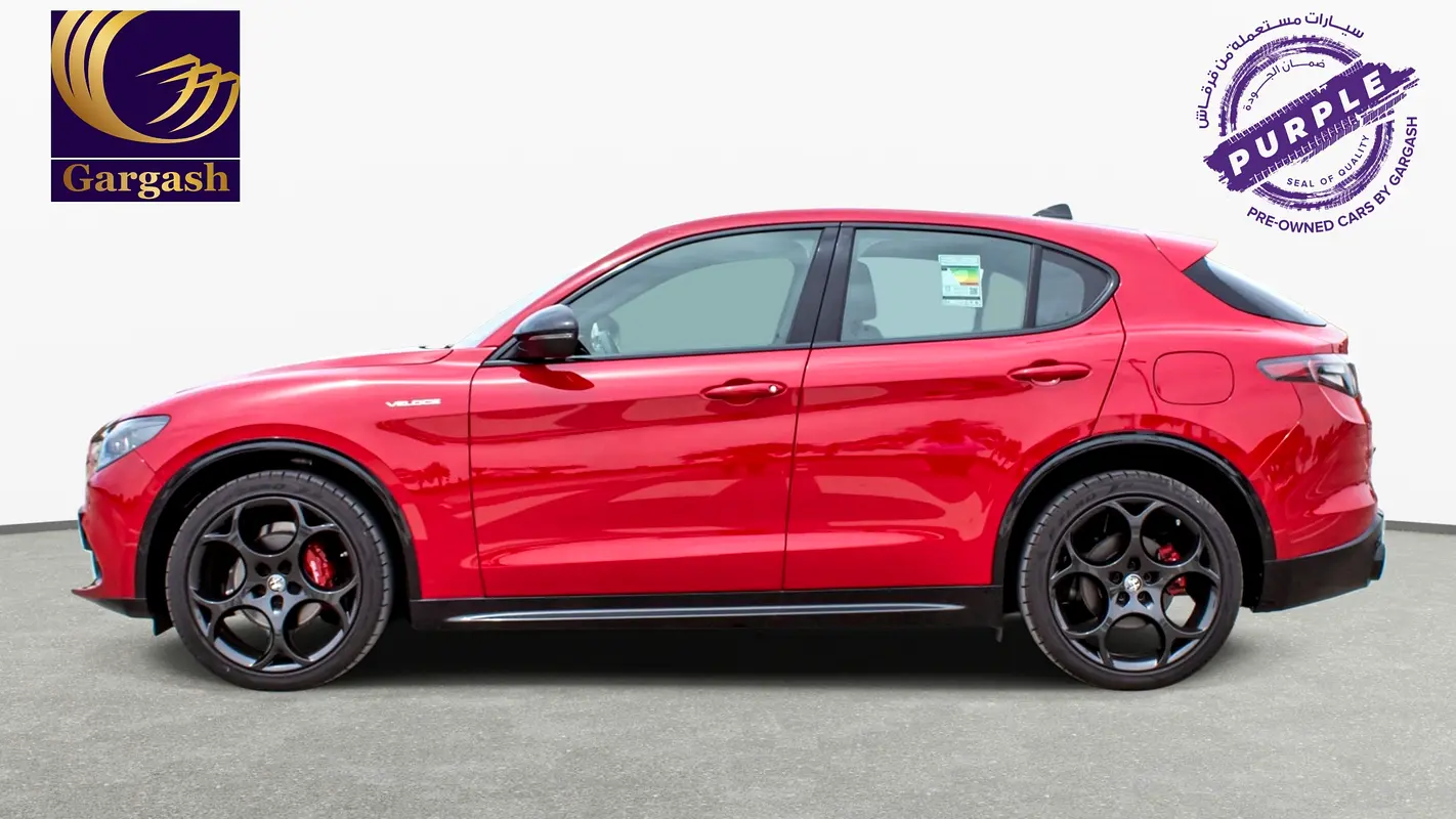 Alfa Romeo Stelvio, 2024 — фото 3 из 10