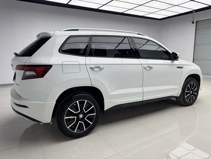 Skoda Karoq, 2023 — фото 6 из 9