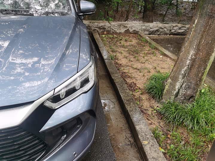 BYD Song Pro Hybrid, 2023 — фото 5 из 9