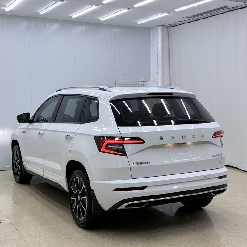 Skoda Karoq, 2024 — фото 4 из 12