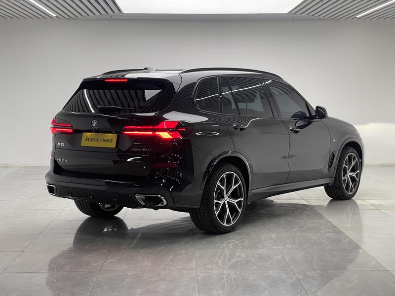 BMW X5, 2025 — фото 7 из 12
