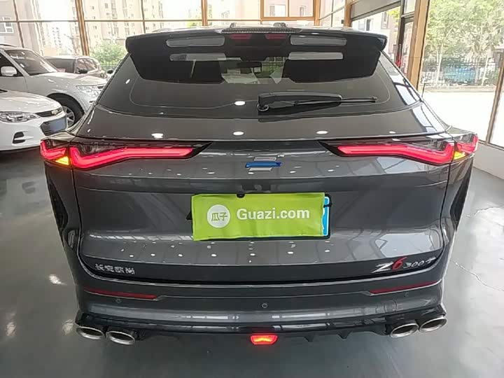 Changan Oshan Z6, 2023 — фото 6 из 9
