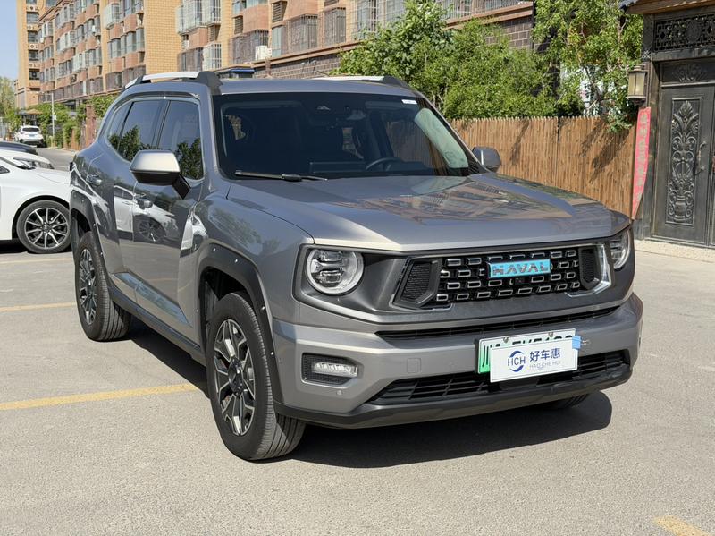 Haval H-Dog Hybrid, 2023 — фото 3 из 9