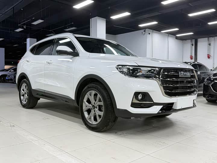 Haval H6, 2022 — фото 3 из 9