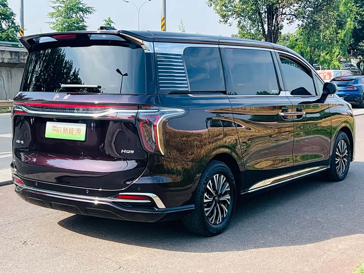 Hongqi HQ9 Hybrid, 2023 — фото 7 из 9