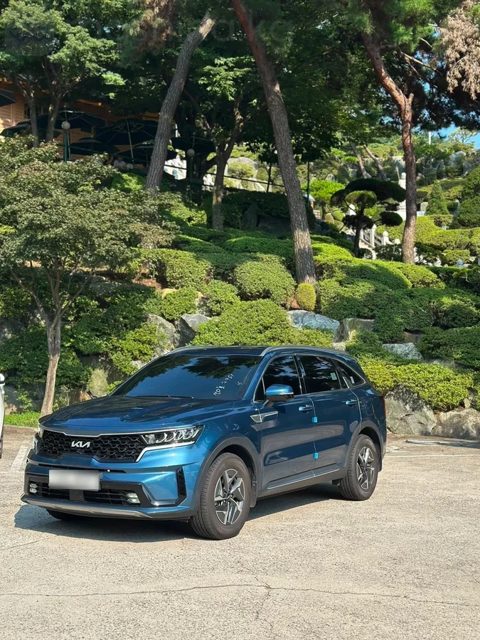 Kia Sorento, 2022 — фото 2 из 12