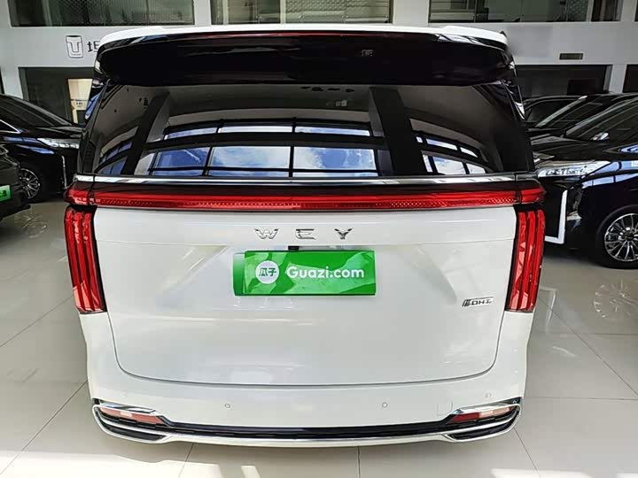 Wey 80 Hybrid, 2024 — фото 6 из 9
