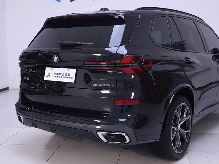 BMW X5, 2025 — фото 8 из 9