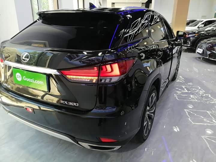 Lexus RX, 2022 — фото 7 из 9