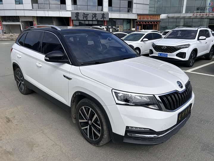 Skoda Kamiq, 2022 — фото 3 из 9
