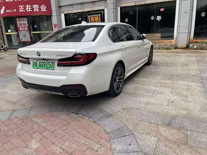 BMW 5 Series Hybrid, 2021 — фото 7 из 9